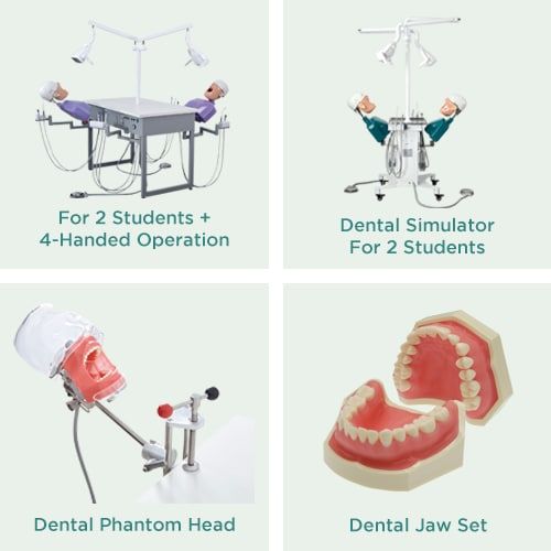 Dental Simulator Dental Simulator