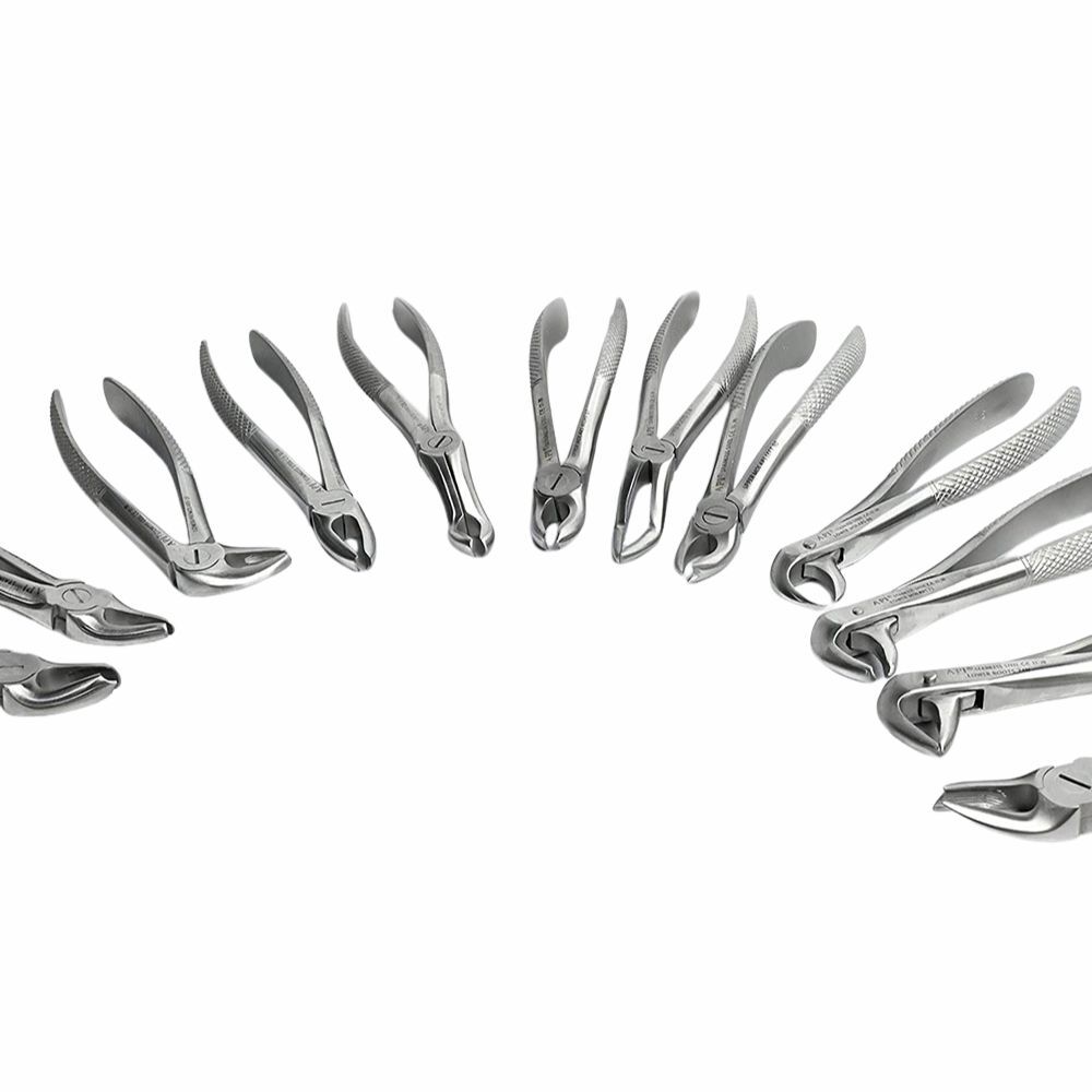 API Extraction Forceps Kit – Set of 12 API Extraction Forceps Kit - Set of 12